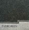 EvergreenB.jpg