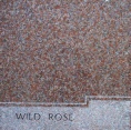 Wild RoseB.jpg