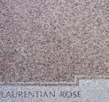 Laurentian RoseB.jpg