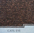 Cats EyeB.jpg